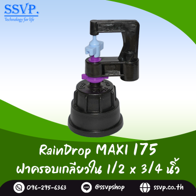 มินิสปริงเกอร์ RainDrop รุ่น MAXI พร้อมฝาครอบเกลียวใน 1/2 x 3/4 นิ้ว บรรจุ 10 ตัว