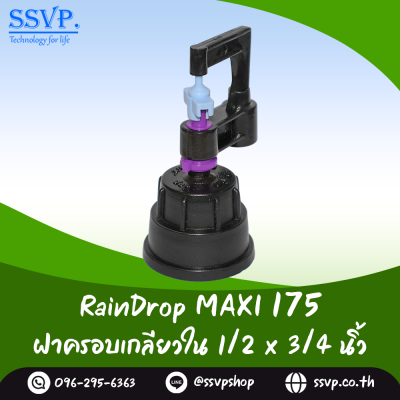 มินิสปริงเกอร์ RainDrop รุ่น MAXI พร้อมฝาครอบเกลียวใน 1/2 x 3/4 นิ้ว บรรจุ 10 ตัว