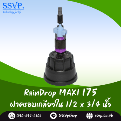 มินิสปริงเกอร์ RainDrop รุ่น MAXI พร้อมฝาครอบเกลียวใน 1/2 x 3/4 นิ้ว บรรจุ 10 ตัว