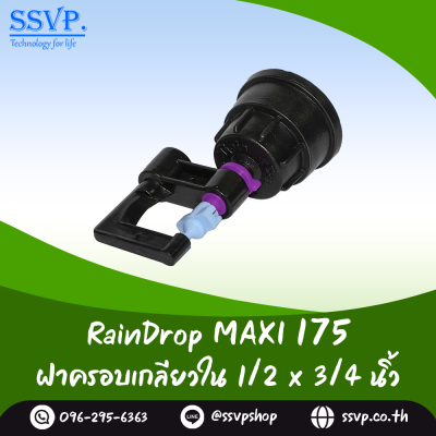 มินิสปริงเกอร์ RainDrop รุ่น MAXI พร้อมฝาครอบเกลียวใน 1/2 x 3/4 นิ้ว บรรจุ 10 ตัว