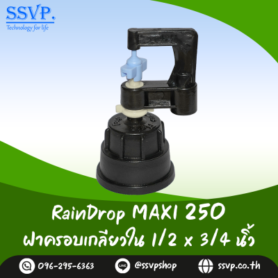 มินิสปริงเกอร์ RainDrop รุ่น MAXI พร้อมฝาครอบเกลียวใน 1/2 x 3/4 นิ้ว บรรจุ 10 ตัว