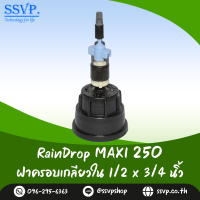 มินิสปริงเกอร์ RainDrop รุ่น MAXI พร้อมฝาครอบเกลียวใน 1/2 x 3/4 นิ้ว บรรจุ 10 ตัว