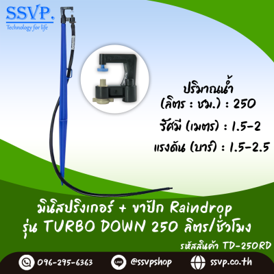มินิสปริงเกอร์ RainDrop รุ่น TURBO DOWN + ขาปัก บรรจุ 10 ตัว