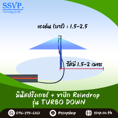มินิสปริงเกอร์ RainDrop รุ่น TURBO DOWN + ขาปัก บรรจุ 10 ตัว