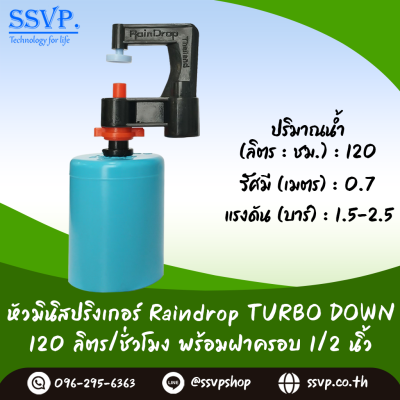 มินิสปริงเกอร์ RainDrop รุ่น TURBO DOWN พร้อมฝาครอบ PVC ขนาด 1/2 นิ้ว บรรจุ 10 ตัว