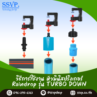 มินิสปริงเกอร์ RainDrop รุ่น TURBO DOWN + ขาปัก บรรจุ 10 ตัว