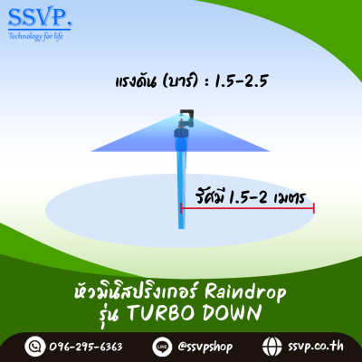 มินิสปริงเกอร์ RainDrop รุ่น TURBO DOWN พร้อมฝาครอบ PVC ขนาด 3/4 นิ้ว บรรจุ 10 ตัว