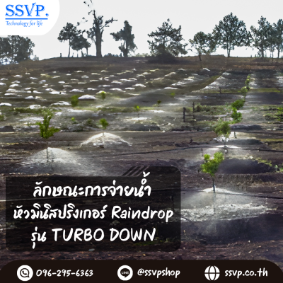 มินิสปริงเกอร์ RainDrop รุ่น TURBO DOWN + ขาปัก บรรจุ 10 ตัว