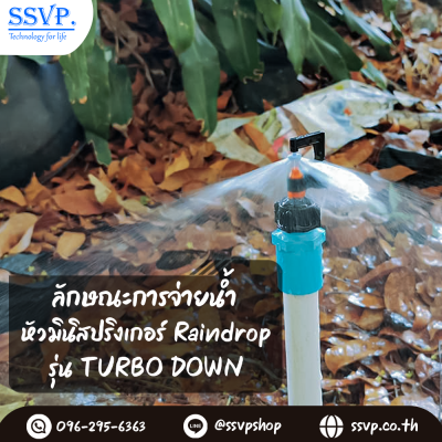 มินิสปริงเกอร์ RainDrop รุ่น TURBO DOWN + ขาปัก บรรจุ 10 ตัว