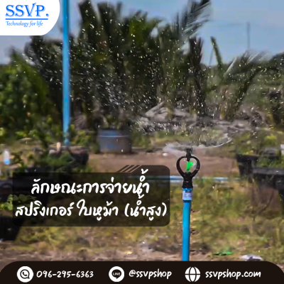 สปริงเกอร์ใบหูม้า (น้ำสูง) พร้อมวาล์วสวมท่อ PE ขนาด 25 มม. รหัสสินค้า 301A-V4 บรรจุ 10 ตัว