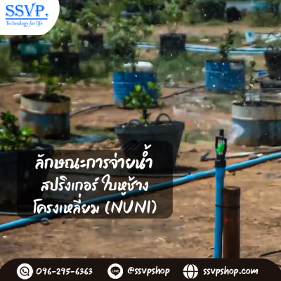 สปริงเกอร์ใบหูช้าง (น้ำกระจาย) โครงเหลี่ยม เกลียวใน ขนาด 3/4" x 1/2^ รหัสสินค้า 301B-L บรรจุ 10 ตัว