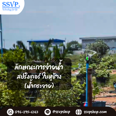 สปริงเกอร์ใบหูช้าง (น้ำกระจาย) โครงหมุนรอบตัว ฝาครอบ PVC ขนาด 3/4^ รหัสสินค้า 301B-C2 บรรจุ 10 ตัว
