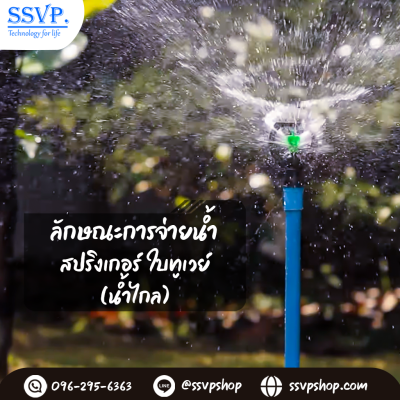 สปริงเกอร์ใบทูเวย์ (น้ำไกล) เกลียวใน ขนาด 3/4" x 1/2" รหัสสินค้า 302 บรรจุ 10 ตัว