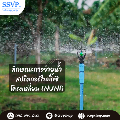สปริงเกอร์ ใบบิ๊กซี โครงเหลี่ยม (NUNI) โครงหมุนรอบตัว เกลียวใน 3/4" x 1/2" รหัสสินค้า 304-RL บรรจุ 10 ตัว