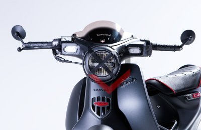 HEADLIGHT GUARD HEADLIGHT GUARD