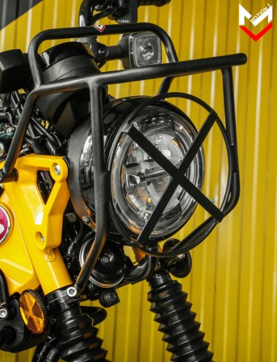 HEADLIGHT GUARD 2IN1