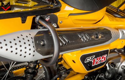 EXHAUST GUARD PROTECTION EXHAUST GUARD PROTECTION