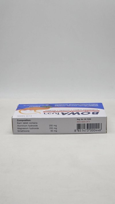 BOWA Antacid Tablets Mint Flavor (20 Tablet x 3 Box)