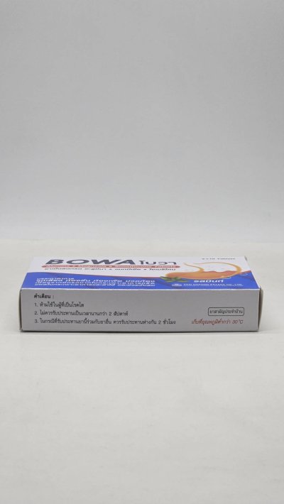 BOWA Antacid Tablets Mint Flavor (20 Tablet x 3 Box)