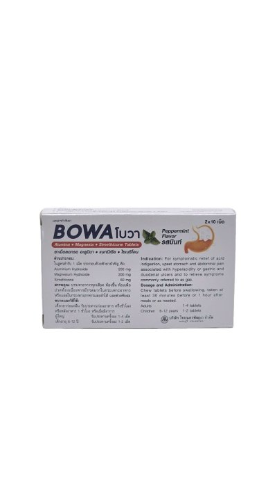 BOWA Antacid Tablets Mint Flavor (20 Tablet x 3 Box)