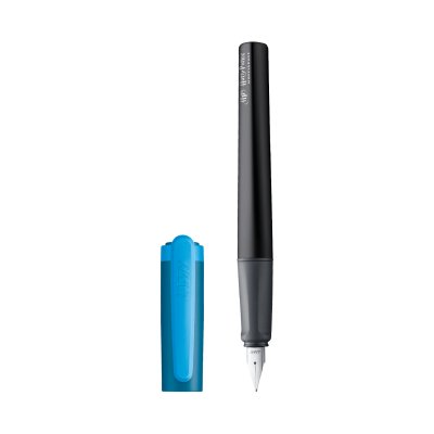 LAMY nexx fountain pen  RAVENCLAW