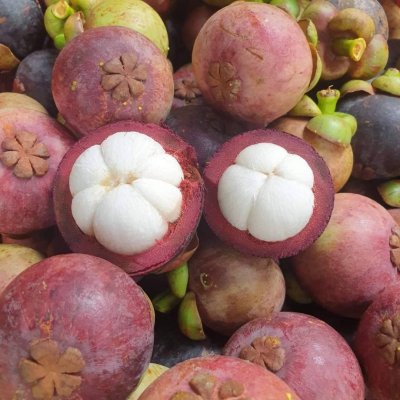 สวนทวีทรัพย์