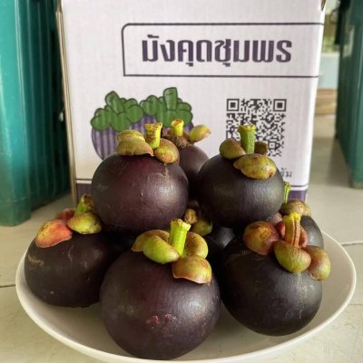 สวนทวีทรัพย์