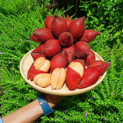 สวนทวีทรัพย์