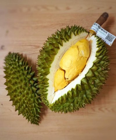 สวนทวีทรัพย์