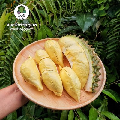 สวนทวีทรัพย์