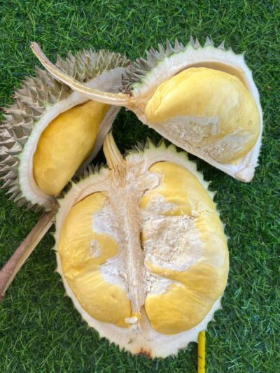 สวนเล้งเหลา