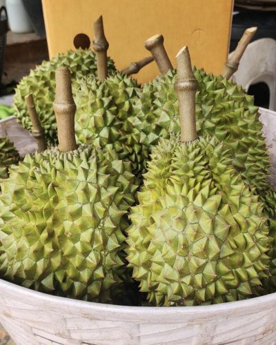 สวนทวีทรัพย์