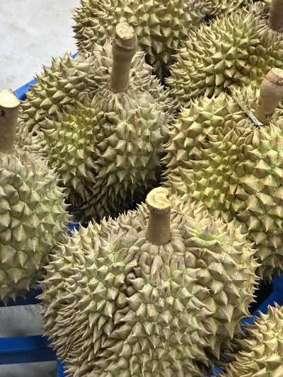 สวนเล้งเหลา