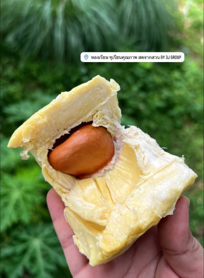 ร้านหลงเรียน