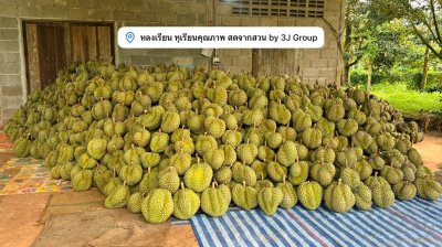 ร้านหลงเรียน