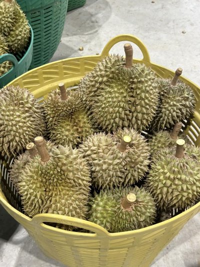 สวนเล้งเหลา