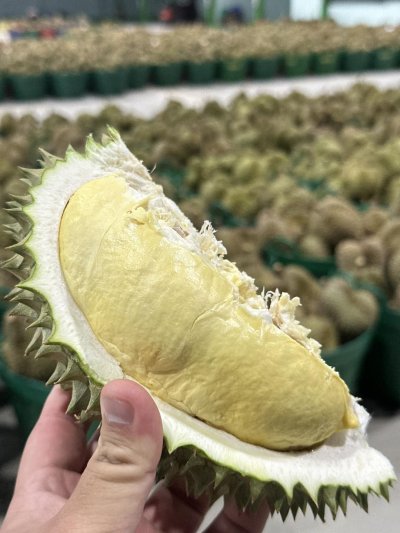 สวนเล้งเหลา