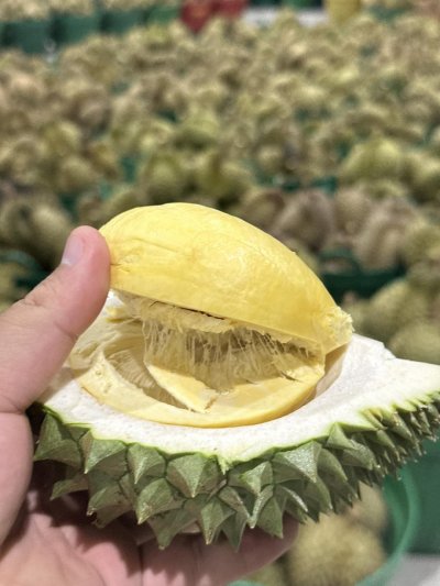 สวนเล้งเหลา