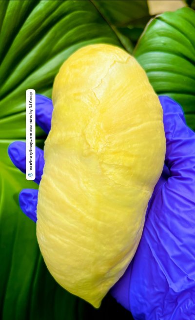 ร้านหลงเรียน