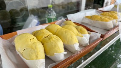 สวนลุงพจน์