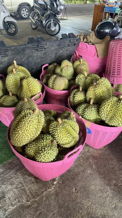 สวนลุงพจน์