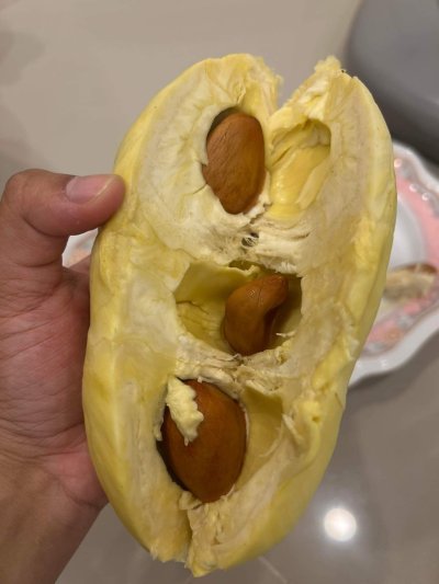 สวนลุงพจน์