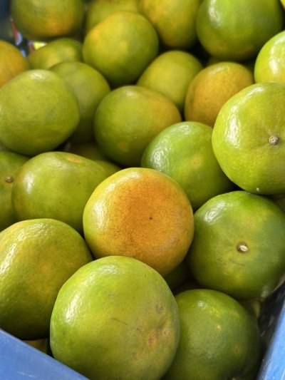 สวนเล้งเหลา