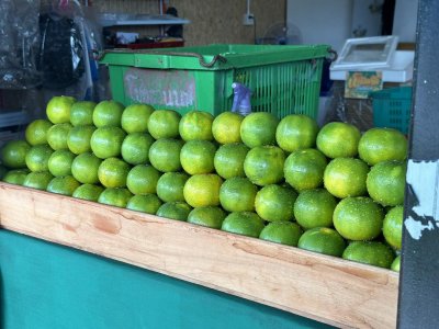 สวนเล้งเหลา