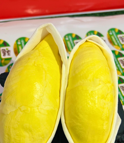 ร้านหลงเรียน