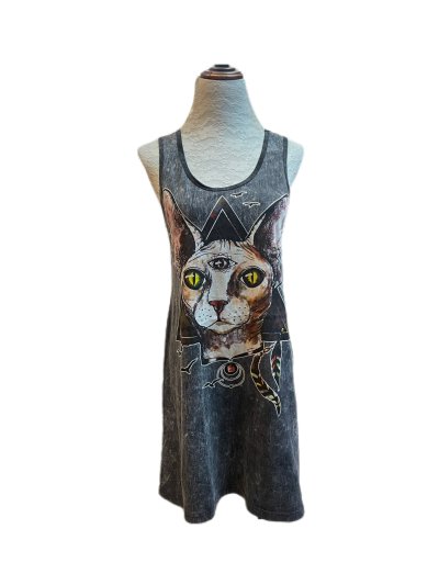 Cat 31/07/25