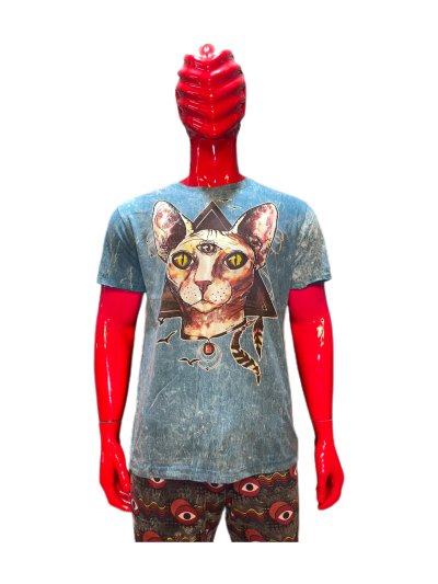Cat 31/07/25