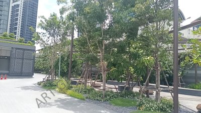 AIA CONNECT