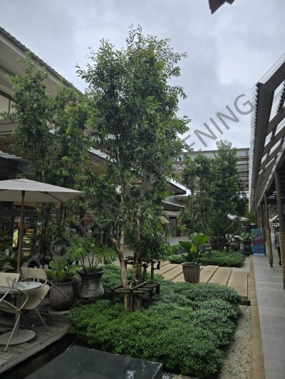 CENTRAL KRABI