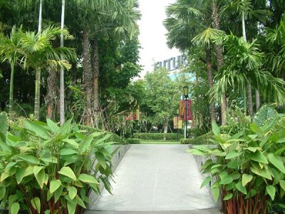 Forest Park Future Park,Rangsit